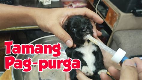 Umibabaw bago mag pa dog style.